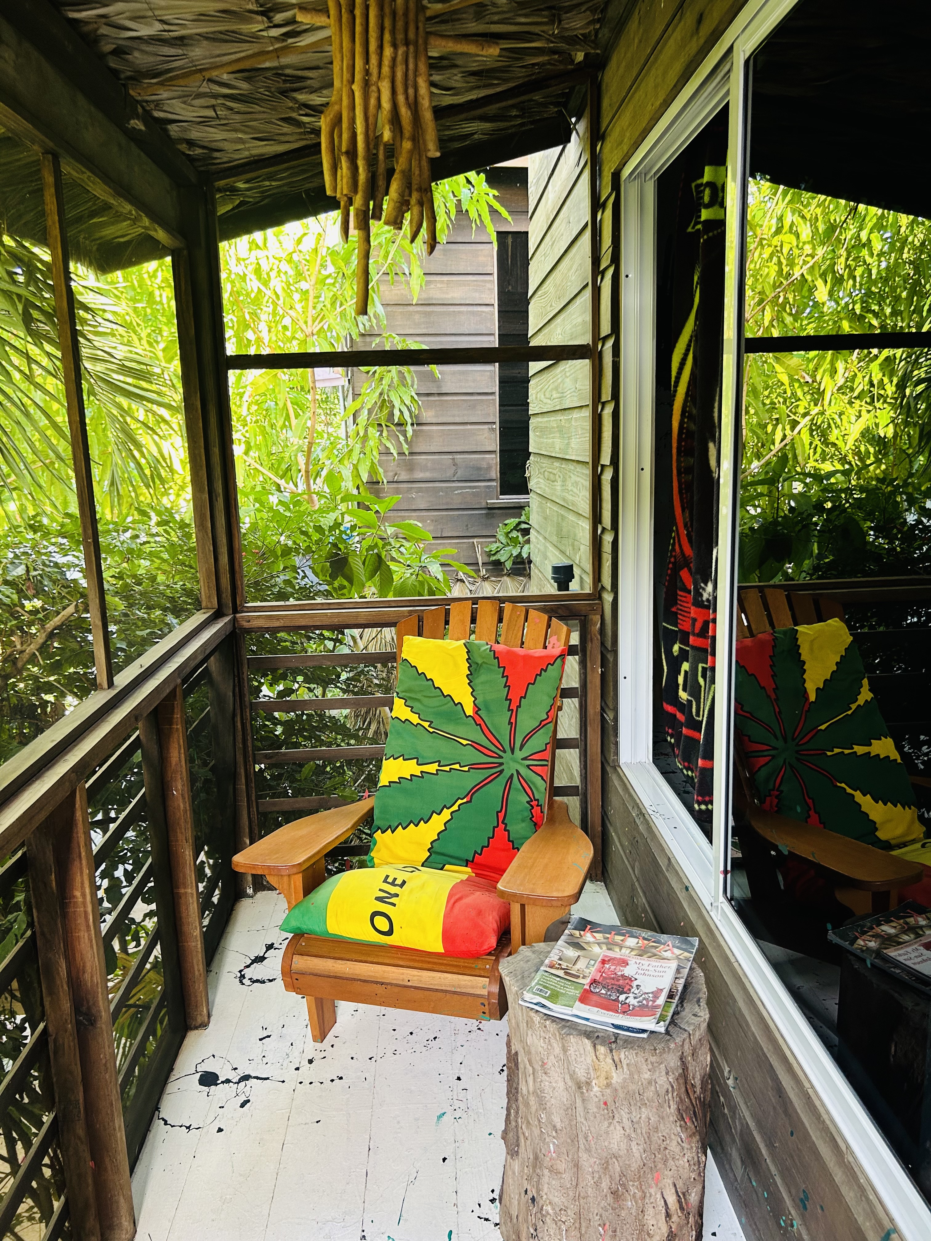 Irie Vybz 9