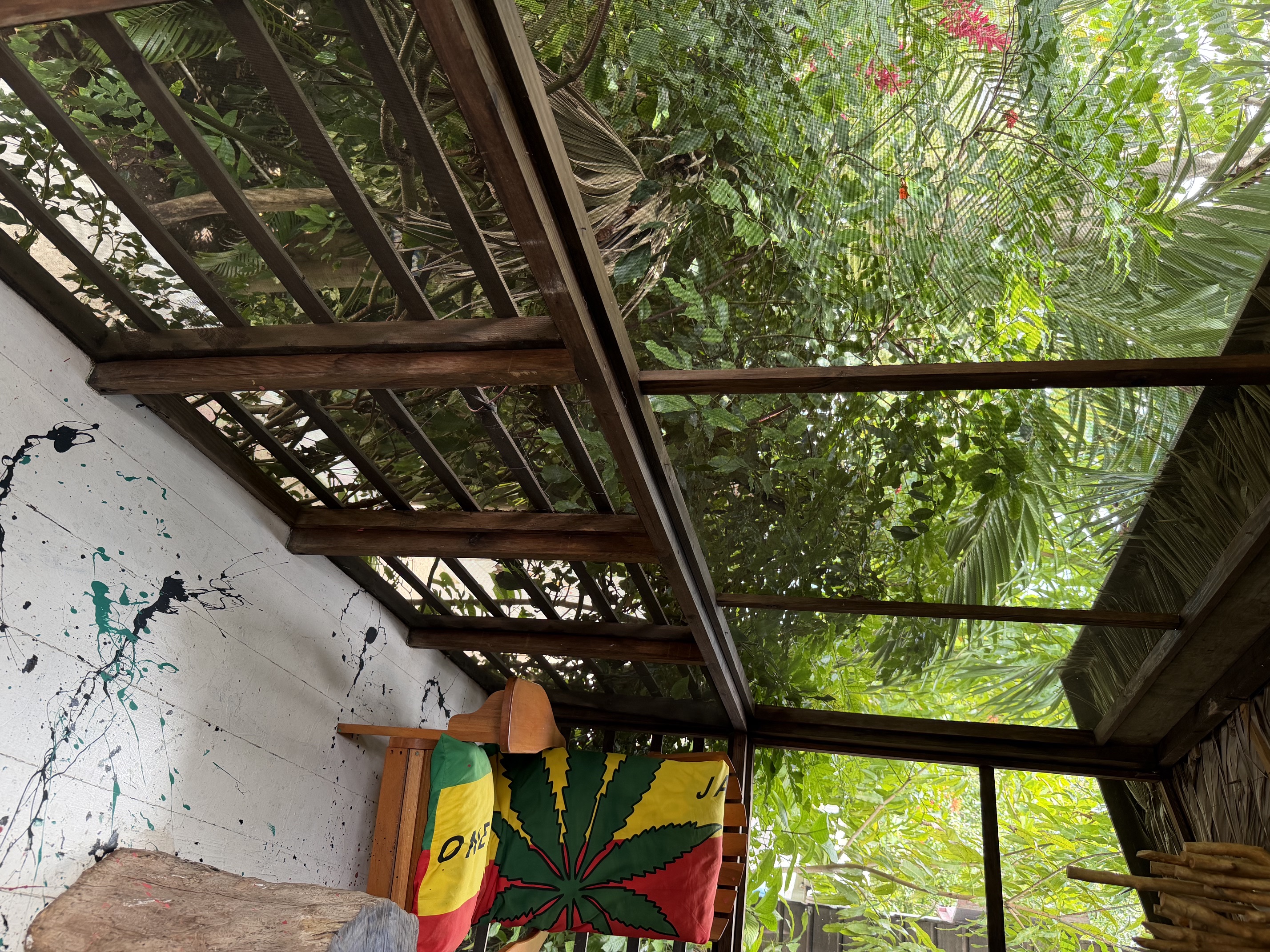 Irie Vybz 16