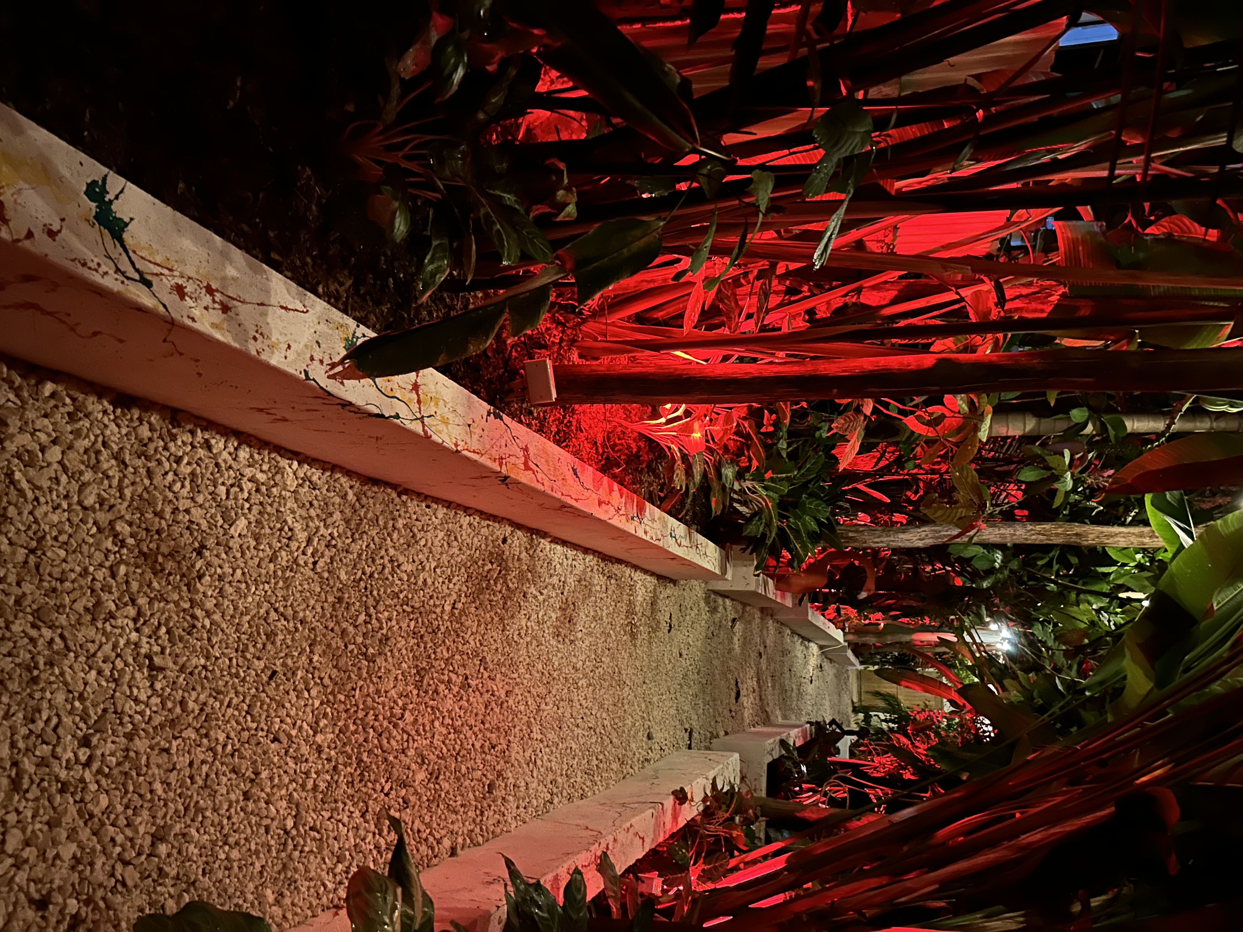 Gallery 38