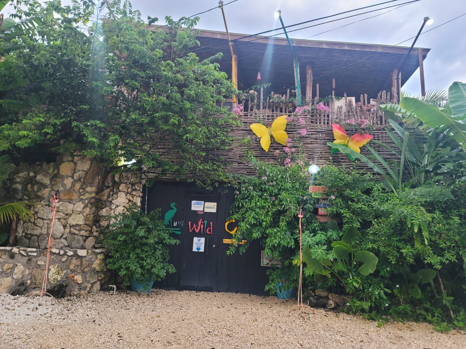 Gallery 21