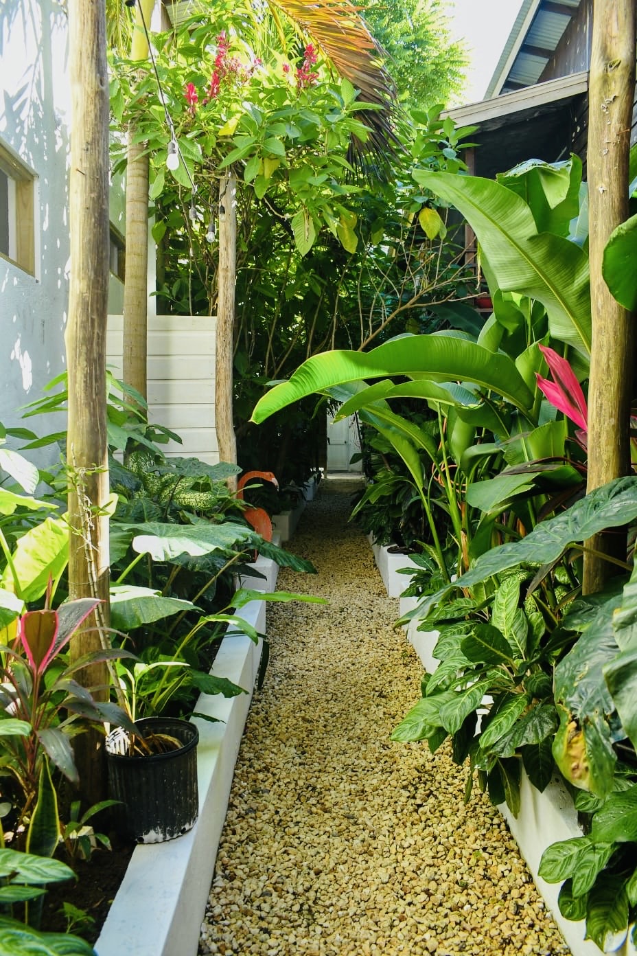 Gallery 104