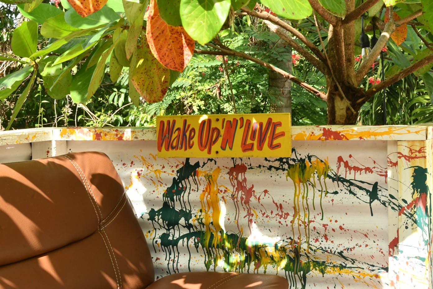 Wake Up 'N' Live